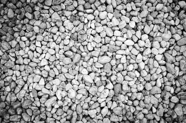 Bianco ciottoli ciottolo texture sfondo pietra Foto d'archivio © THP