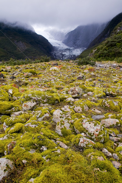 ストックフォト: 氷河 · ニュージーランド · 自然 · 光 · 旅行 · 岩