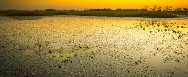 Chobe River  Stock photo © THP