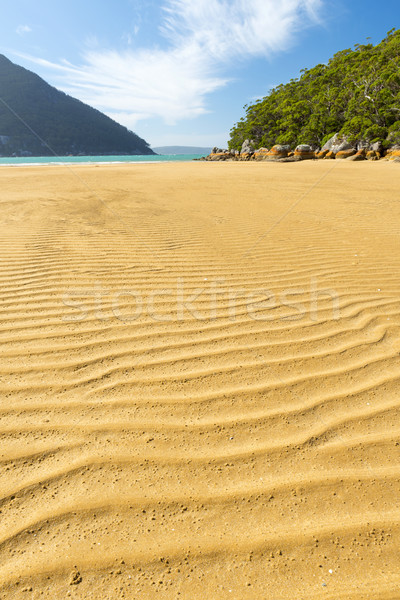 Sand Patterns On Beach Stock photo © THP