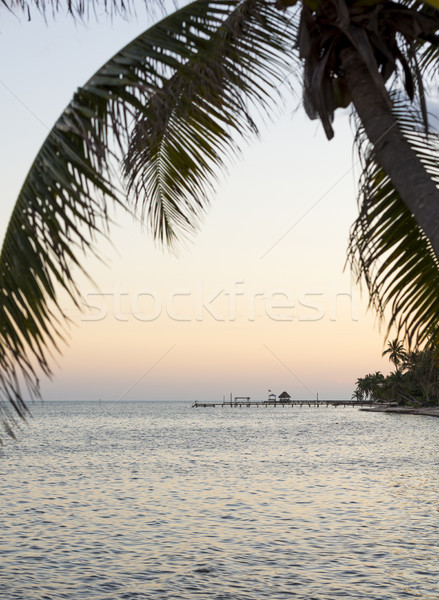 Island Palmtree Over Sea Stock photo © THP