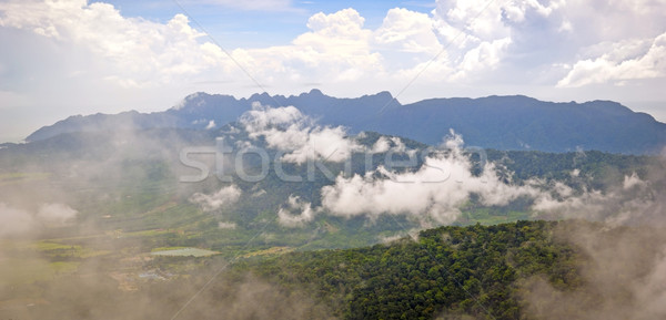 Névoa floresta ilha de langkawi Malásia nuvens Foto stock © THP