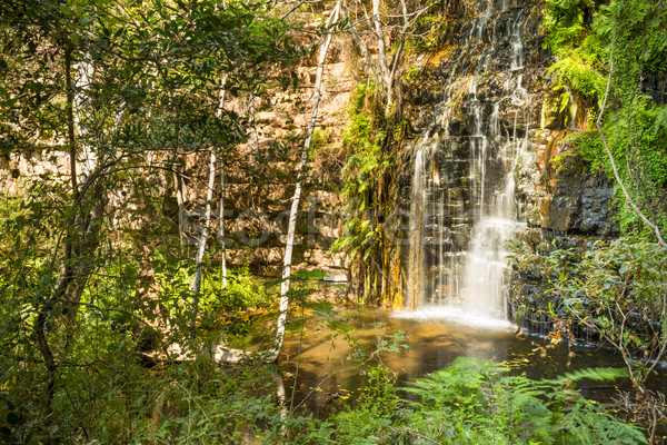 Cascade Botswana une cinquième cascades sentier [[stock_photo]] © THP