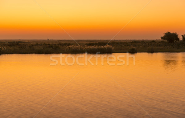 Chobe River Sunset Stock photo © THP
