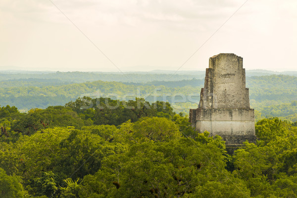 Ruine Guatemala tropical junglă natură călători Imagine de stoc © THP