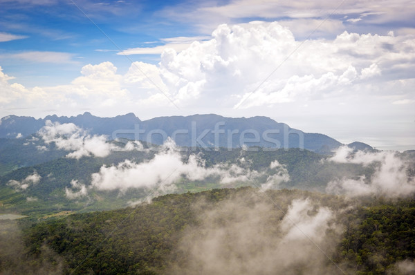 Névoa floresta ilha de langkawi Malásia nuvens Foto stock © THP