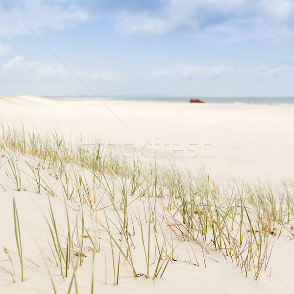 Foto d'archivio: Spiaggia · erba · sabbia · rosso · acqua · auto