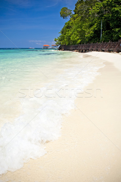 Paraíso praia perfeito areia branca localização água Foto stock © THP