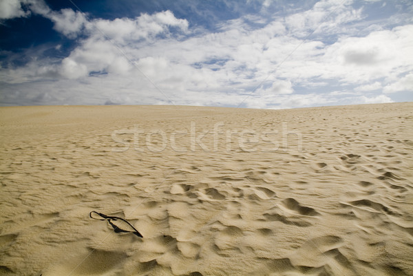 Homok nagy tengerparti tengerpart óceán Stock fotó © THP