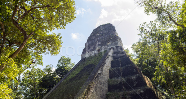 Templu Guatemala faimos parc natură călători Imagine de stoc © THP