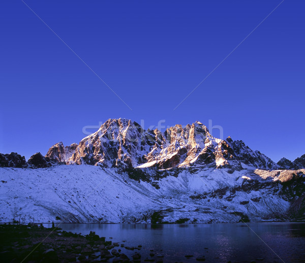 First Light Stock photo © THP