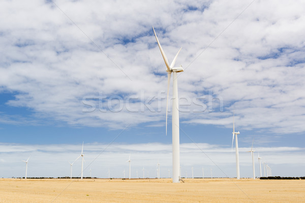 Wind Farm Stock photo © THP