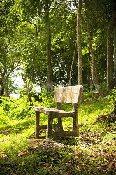 Pădure scaun gol fantezie lemn grădină Imagine de stoc © THP