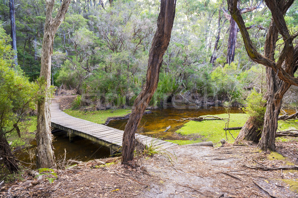 öböl táborhely fából készült gyaloghíd patak park Stock fotó © THP
