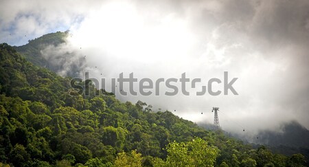 Cabo carro surpreendente linhas selva montanha Foto stock © THP