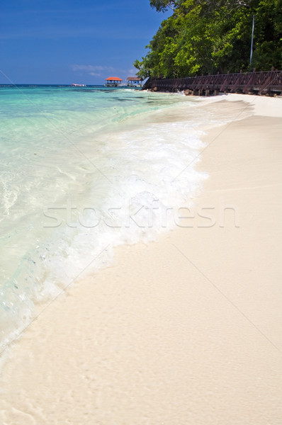 Paraíso praia perfeito areia branca localização água Foto stock © THP