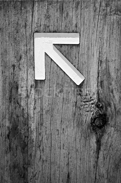 Arrow Signs Black and White Stock photo © THP