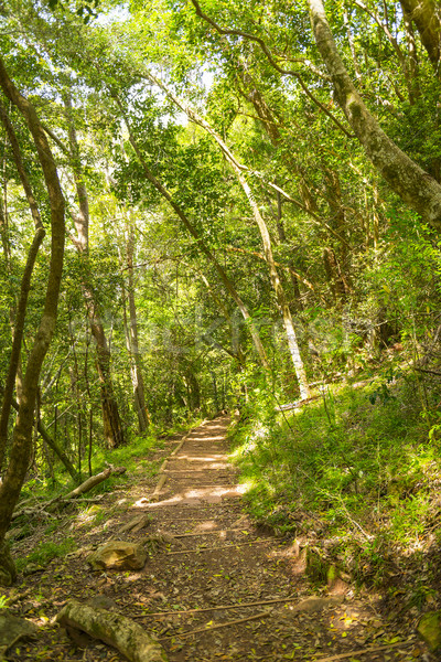 Tabela montanha caminhada seguir trilha caminhadas Foto stock © THP