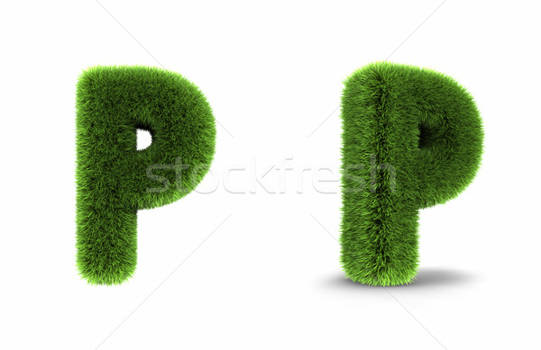 Grass Letter P Stock photo © ThreeArt