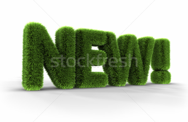 Grass Word - New! Stock photo © ThreeArt