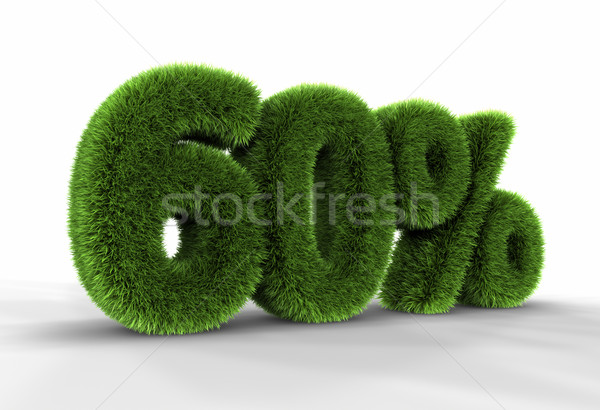 Gras zestig procent geïsoleerd witte 60 Stockfoto © ThreeArt