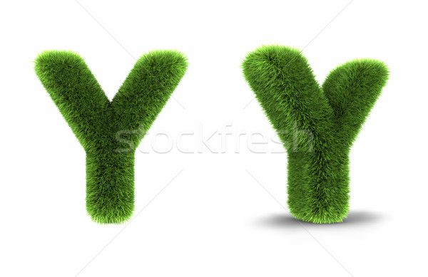 Grass Letter Y Stock photo © ThreeArt