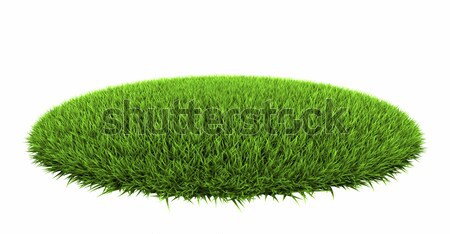 Gras arena geïsoleerd witte 3d render achtergrond Stockfoto © ThreeArt