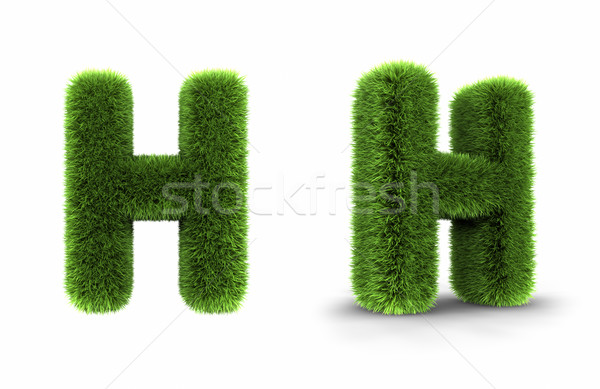 Grass Letter H Stock photo © ThreeArt