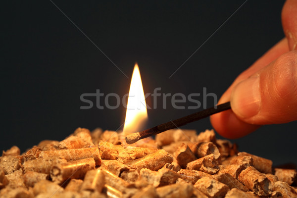 öko megoldás közelkép fa kezdet tűz Stock fotó © tiero