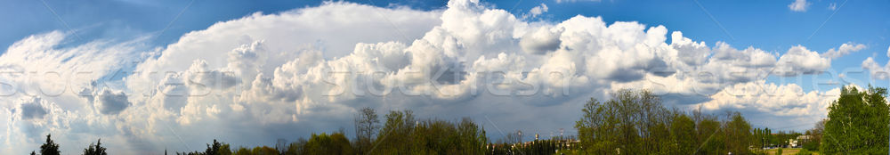 pano cloudscape Stock photo © tiero