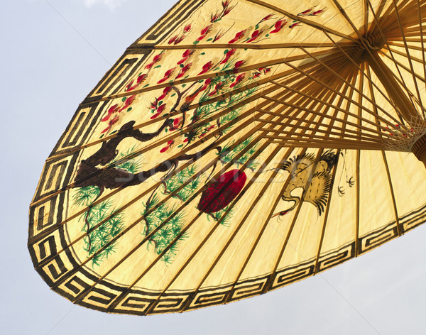 asian umbrella detail Stock photo © tiero