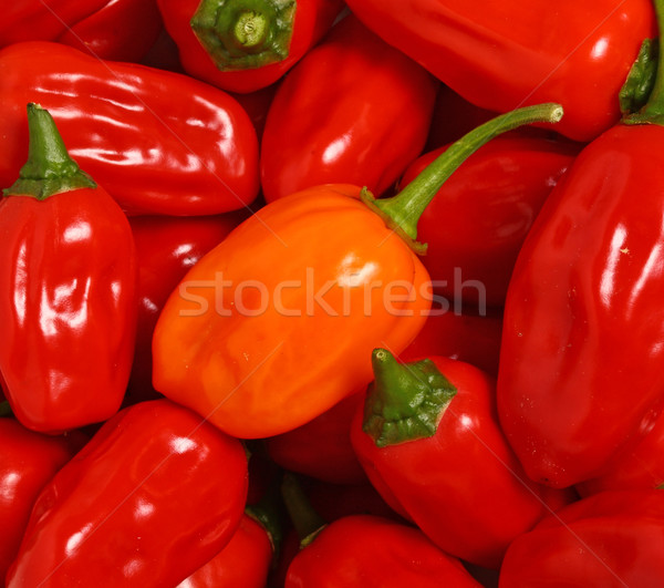 pepper background Stock photo © tiero
