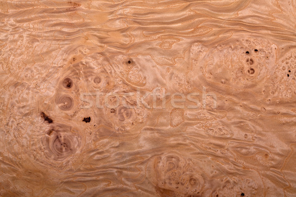 Holzstruktur Bild natürlichen Textur Natur Stock foto © tiero