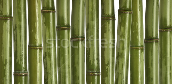 hard bamboo background Stock photo © tiero