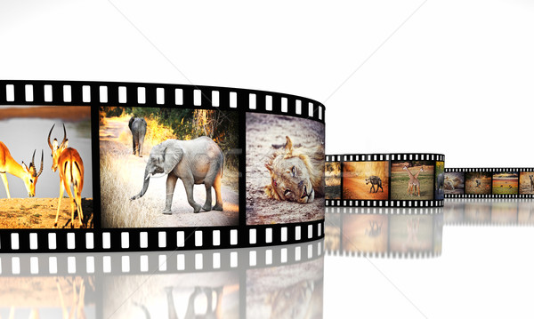 Stock photo: africa movie