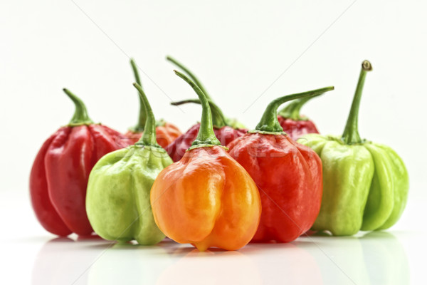 chilly pepper collection background Stock photo © tiero