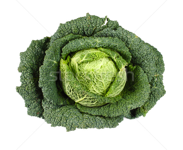 Savoy Cabbage isolated on white Stock photo © tiero