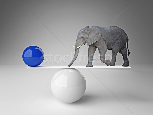Zdjęcia stock: Dobre · równowagi · słoń · piłka · fałszywy · biały