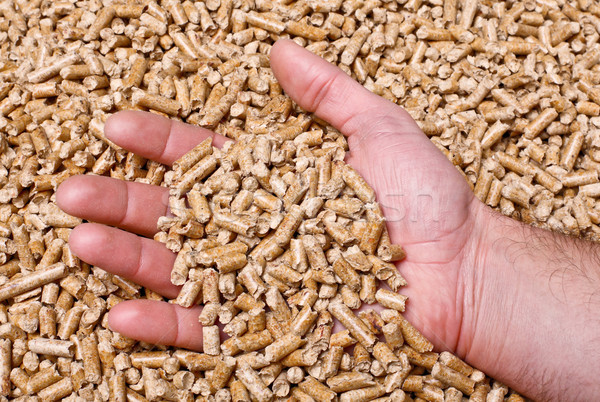 wood pellet Stock photo © tiero