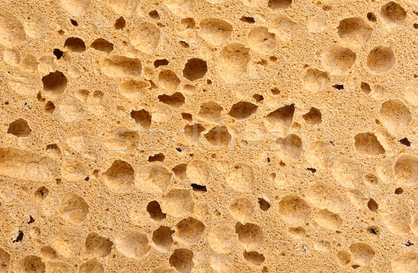 Stock photo: sponge texture