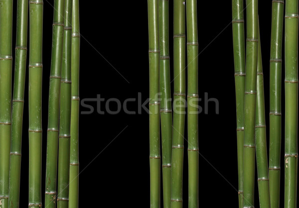 Bambu görüntü klasik ağaç orman duvar Stok fotoğraf © tiero