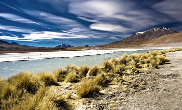 горные природного пейзаж Nice мнение Боливия Сток-фото © tiero
