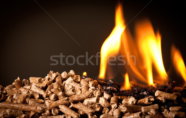 wood pellet Stock photo © tiero