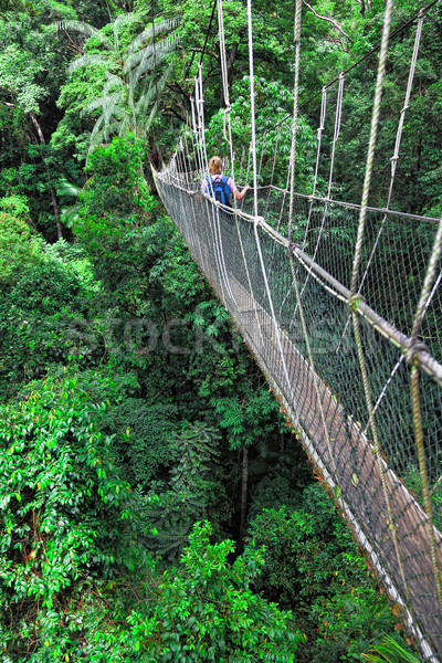 canopy bridge Stock photo © tiero