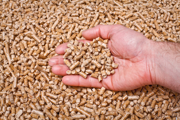 natural pellet Stock photo © tiero