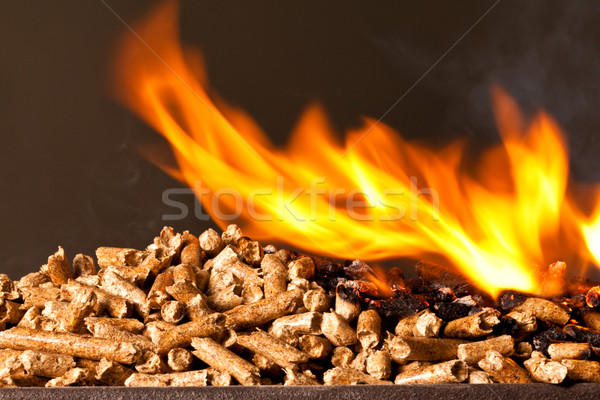 Drewna obraz energii moc płomień Zdjęcia stock © tiero