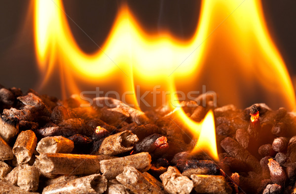 Zdjęcia stock: Drewna · obraz · energii · moc · płomień