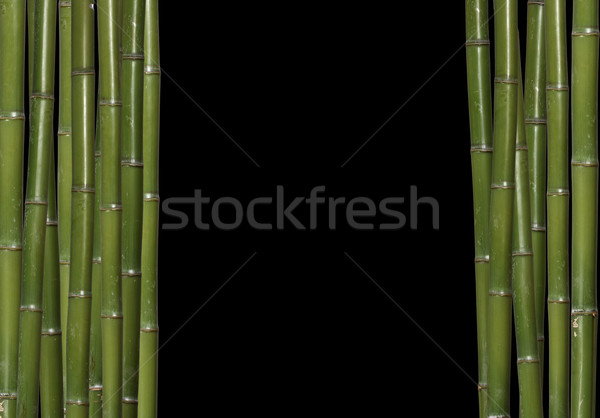 Cinese bambù immagine albero foresta muro Foto d'archivio © tiero