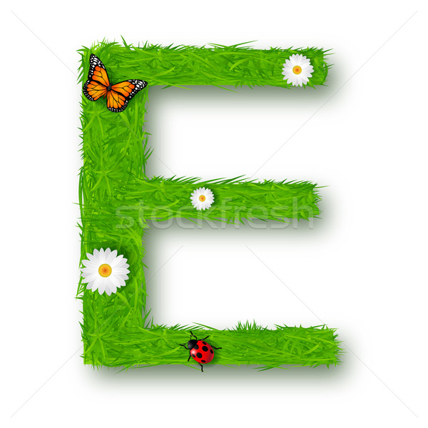 Grass Letter E on white background
 Stock photo © tigatelu