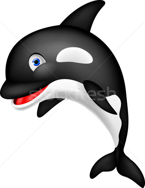 Orca cartoon Stock photo © tigatelu